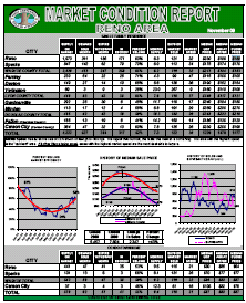 Market Condition Report - 2009